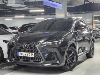 렉서스 NX 중고차 매물 사진