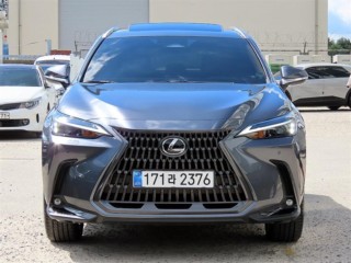 렉서스 NX 중고차 매물 사진
